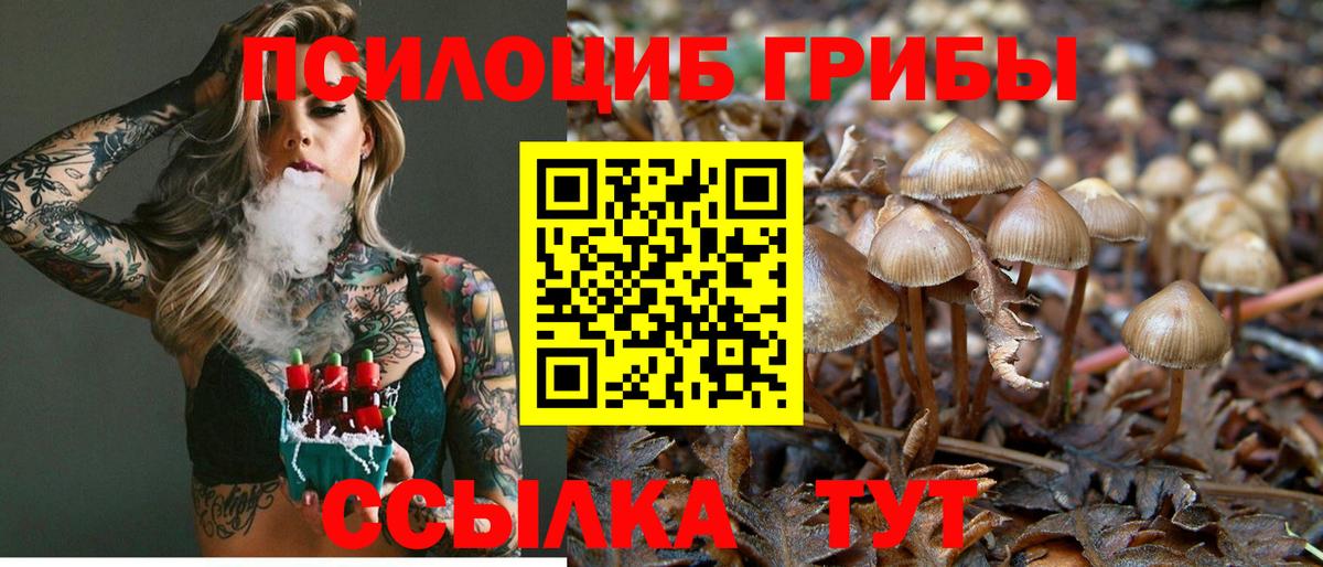 Галлюциногенные грибы Cubensis Татарск