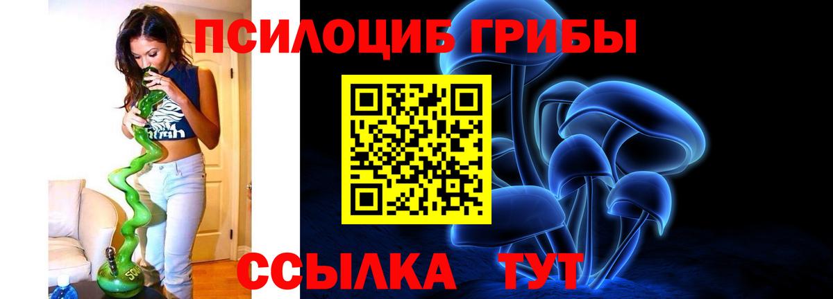 Псилоцибиновые грибы Cubensis  Вход с VPN  Татарск 